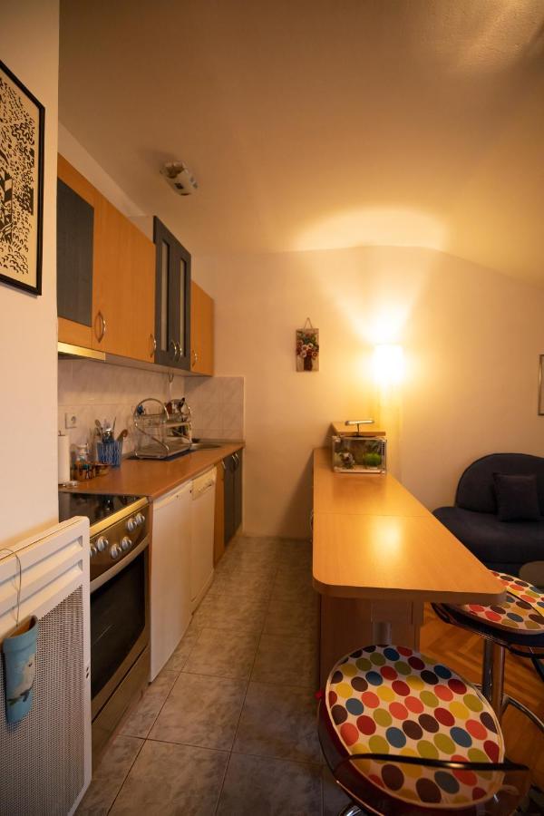 Cushy Apartment Close To City Centre 포드고리차 외부 사진