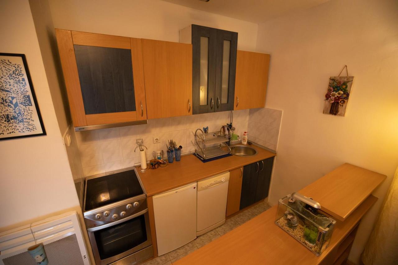 Cushy Apartment Close To City Centre 포드고리차 외부 사진
